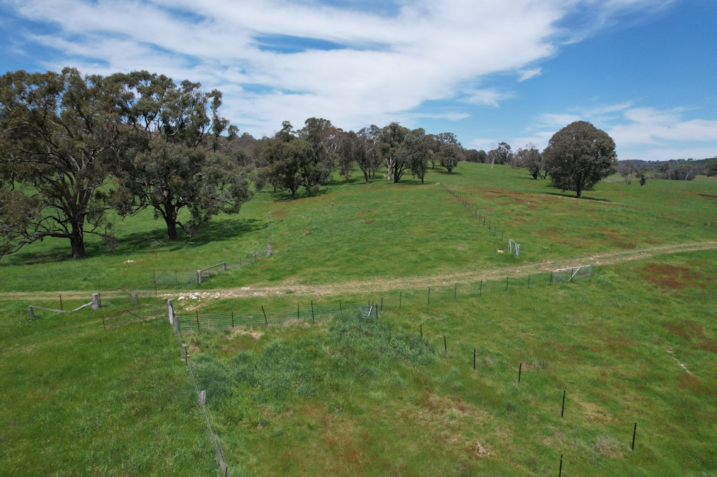 195 Burges Road, Caloola, NSW, 2795 - Image 16