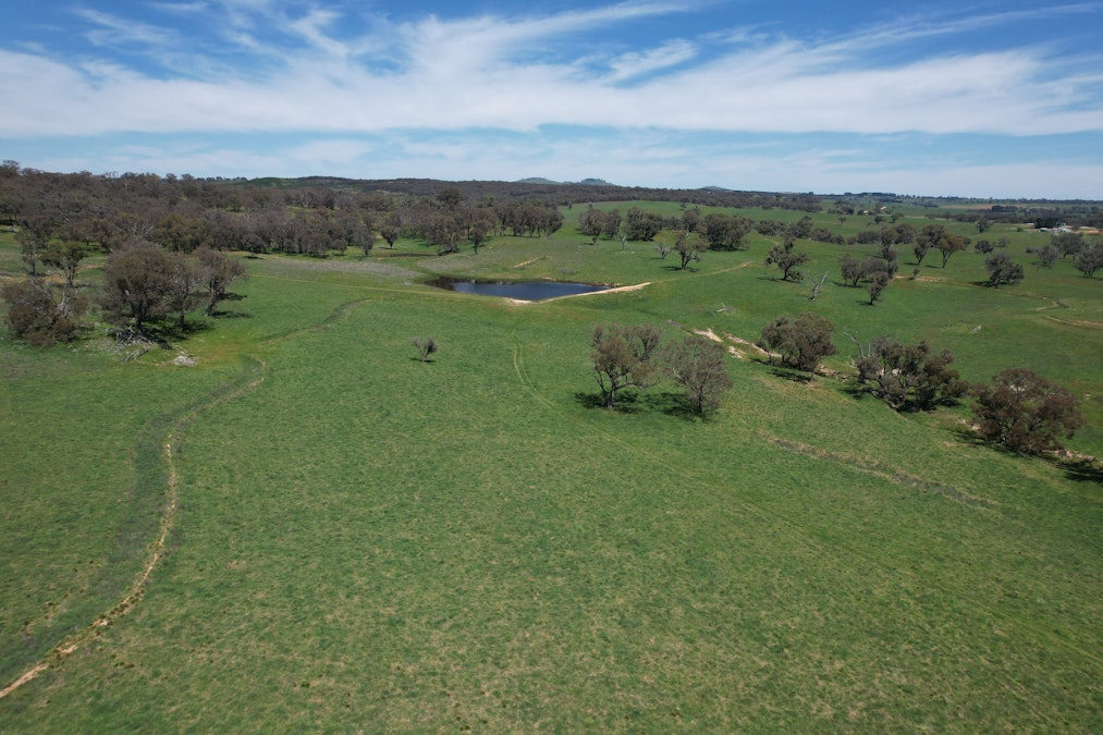 195 Burges Road, Caloola, NSW, 2795 - Image 24