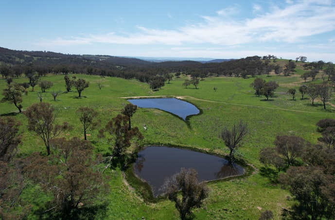 195 Burges Road, Caloola, NSW, 2795 - Image 1