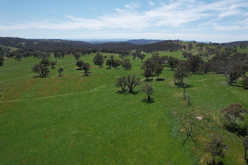 195 Burges Road, Caloola, NSW, 2795 - Image 25