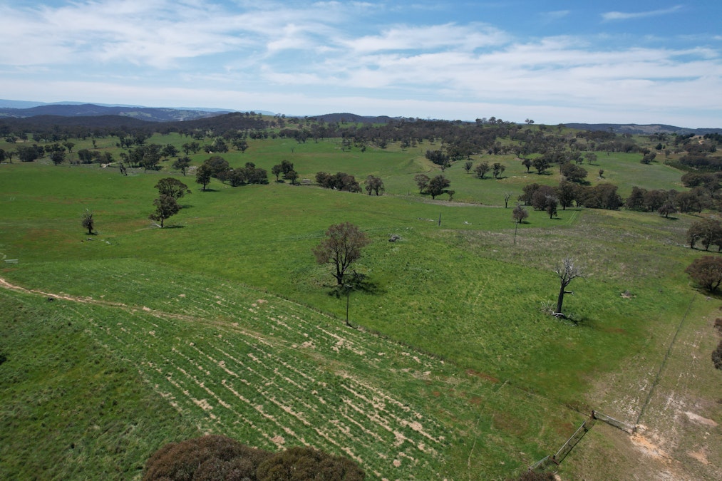 195 Burges Road, Caloola, NSW, 2795 - Image 26