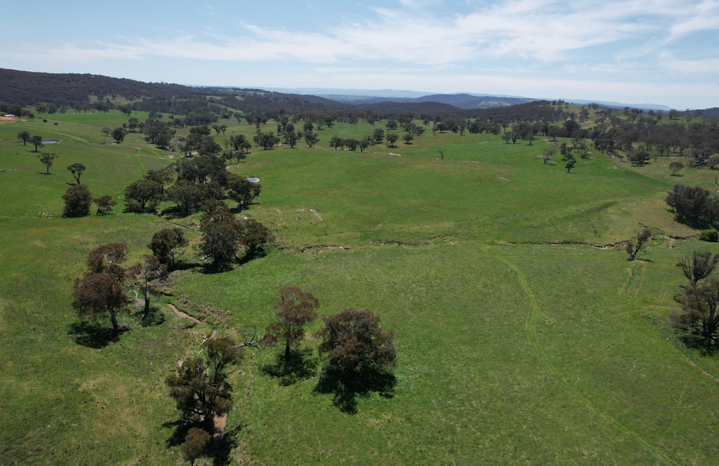 195 Burges Road, Caloola, NSW, 2795 - Image 27