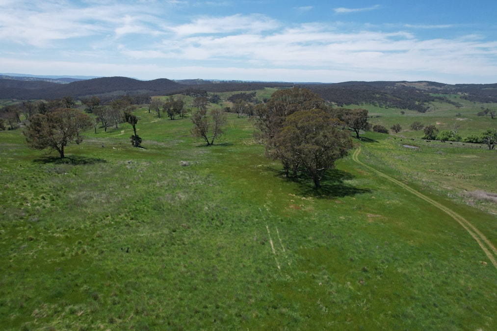 195 Burges Road, Caloola, NSW, 2795 - Image 29