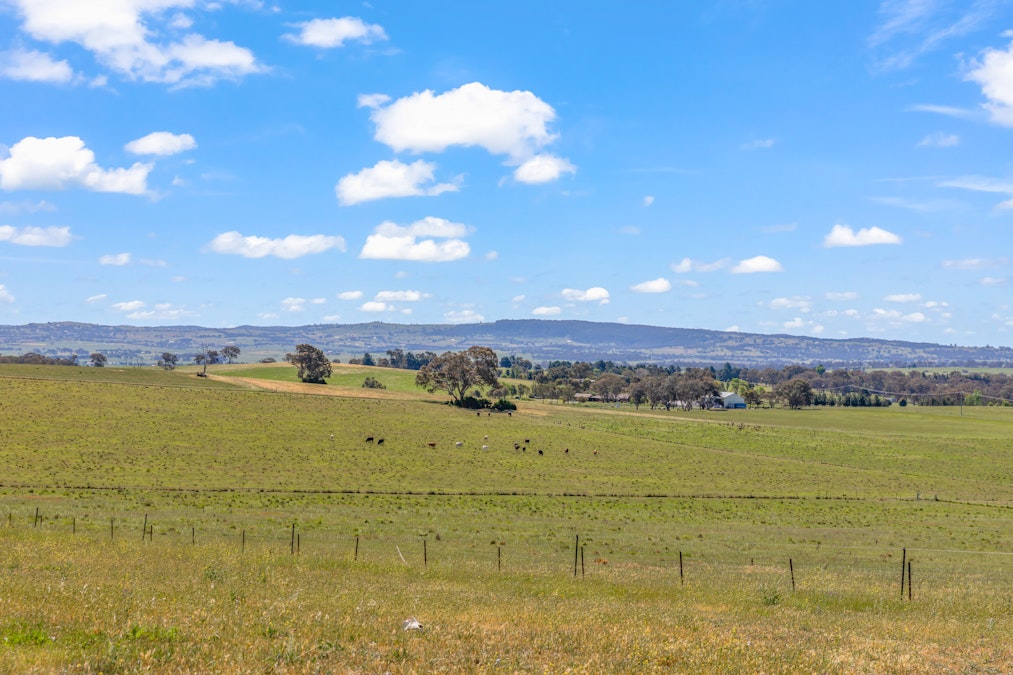 365 Limekilns Road, Kelso, NSW, 2795 - Image 14