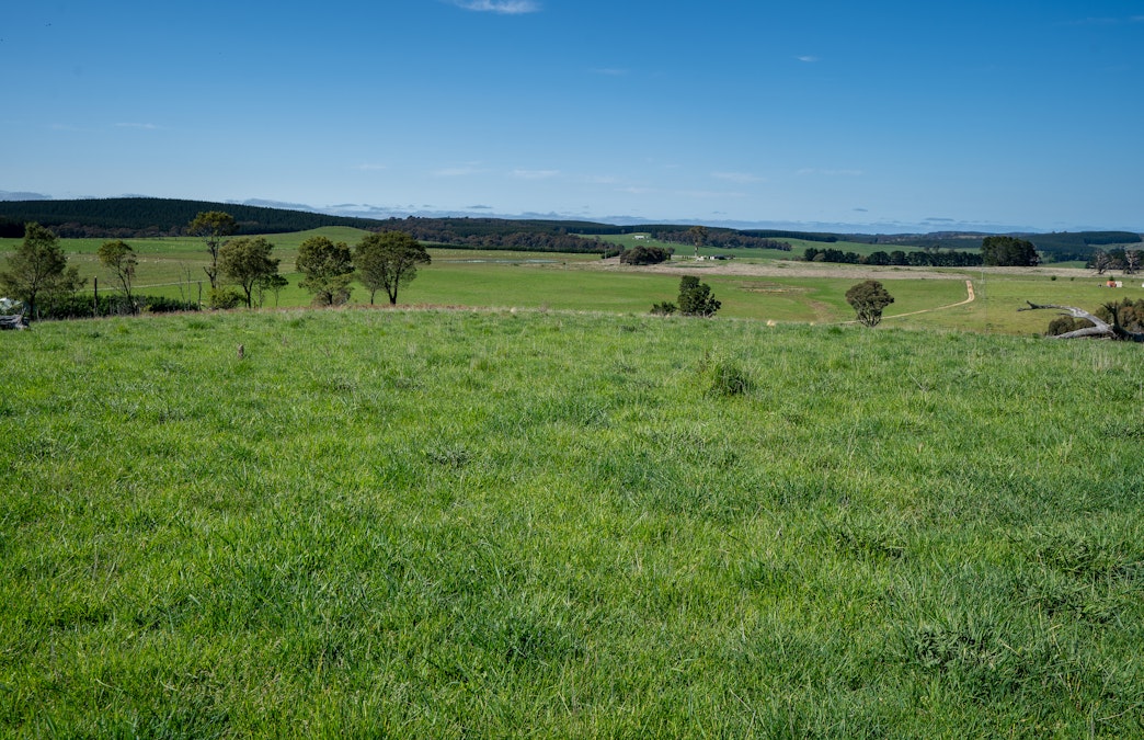 Part of 996 Dog Rocks Road, Black Springs, NSW, 2787 - Image 4