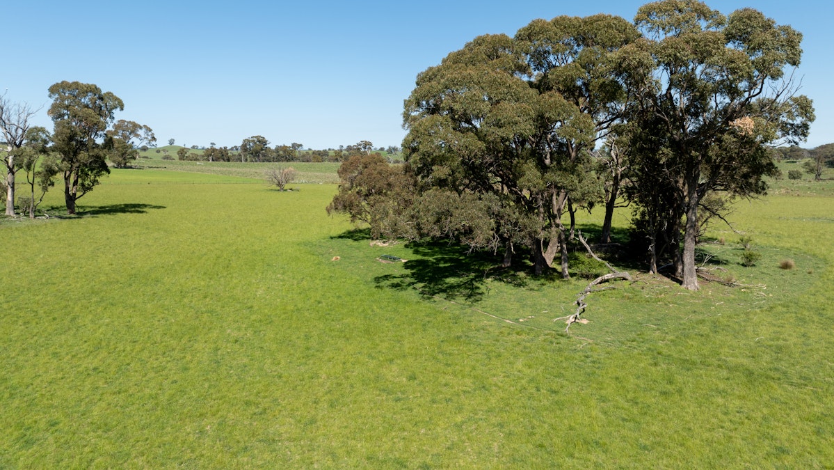 Part of 996 Dog Rocks Road, Black Springs, NSW, 2787 - Image 18