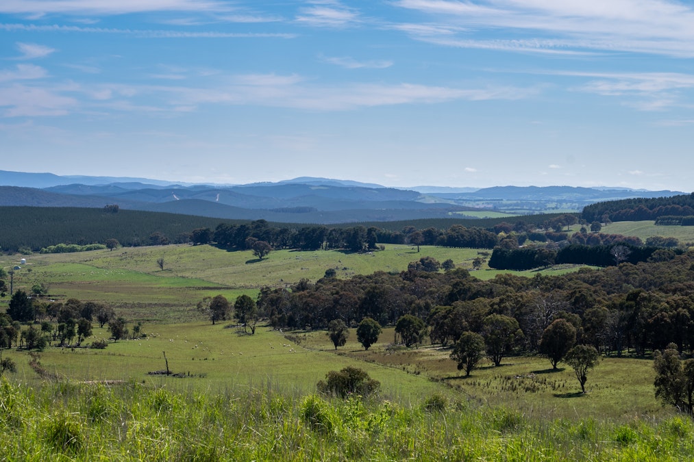 Part of 996 Dog Rocks Road, Black Springs, NSW, 2787 - Image 19