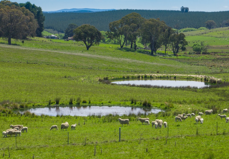 Part of 996 Dog Rocks Road, Black Springs, NSW, 2787 - Image 8