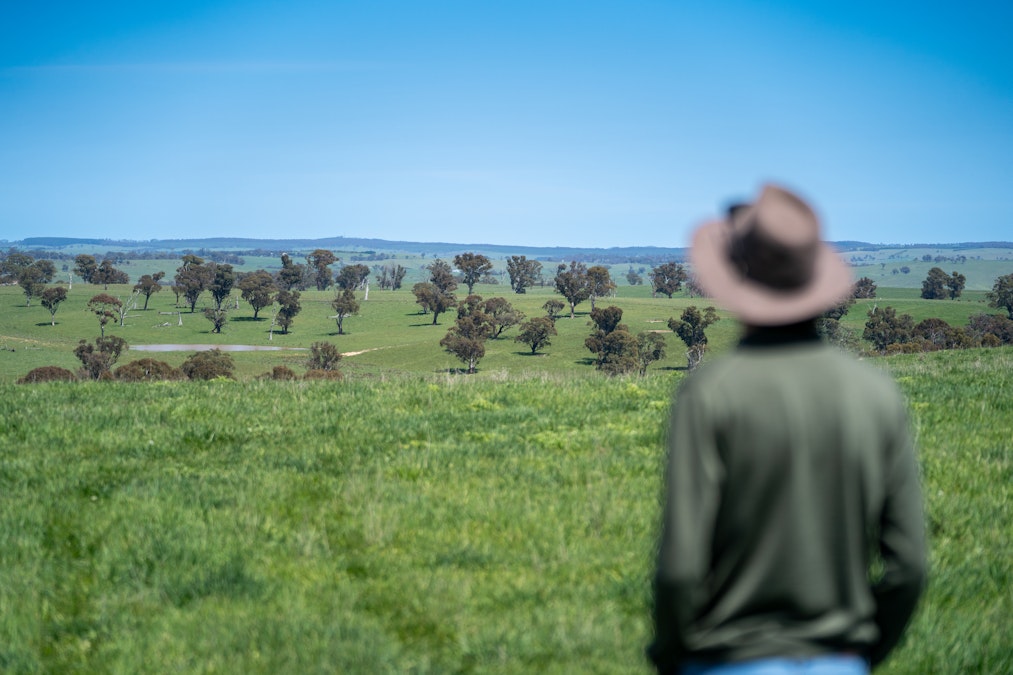 Part of 996 Dog Rocks Road, Black Springs, NSW, 2787 - Image 21