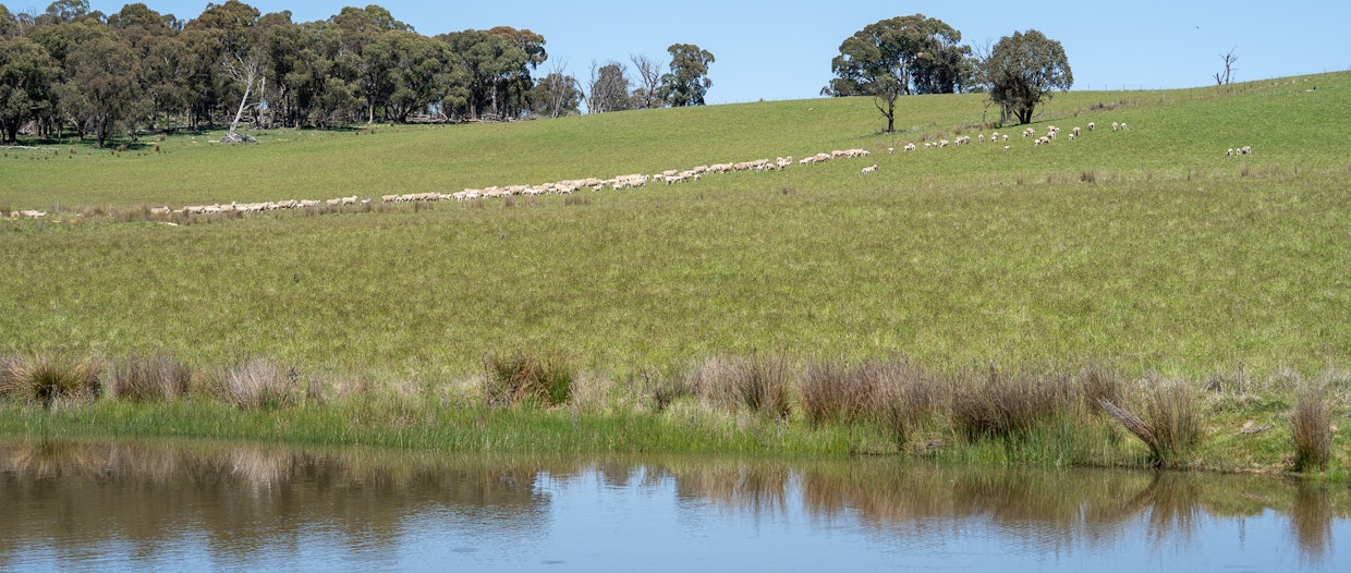 Part of 996 Dog Rocks Road, Black Springs, NSW, 2787 - Image 9