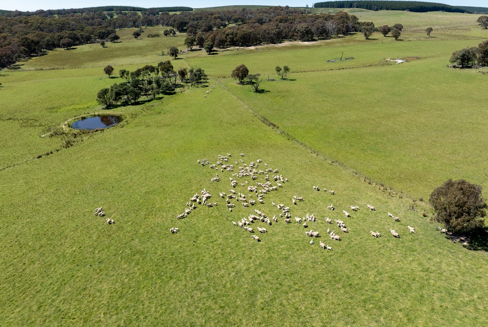 Part of 996 Dog Rocks Road, Black Springs, NSW, 2787 - Image 7