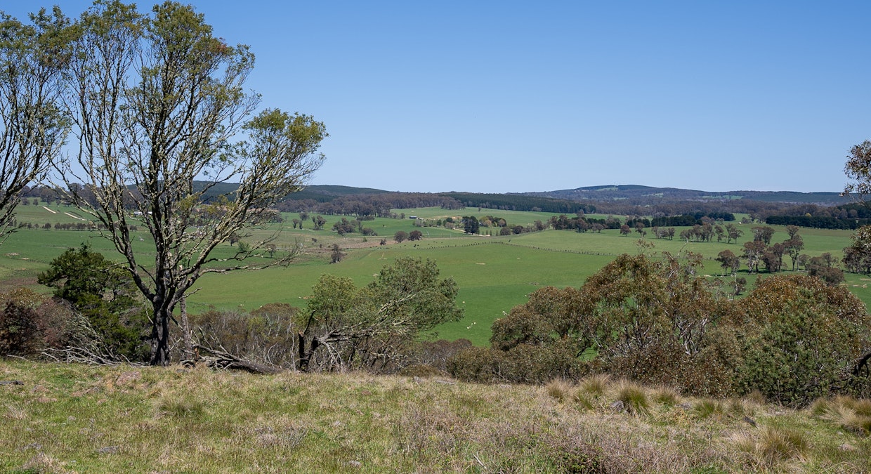 72 Millers Lane, Chatham Valley, NSW, 2787 - Image 8