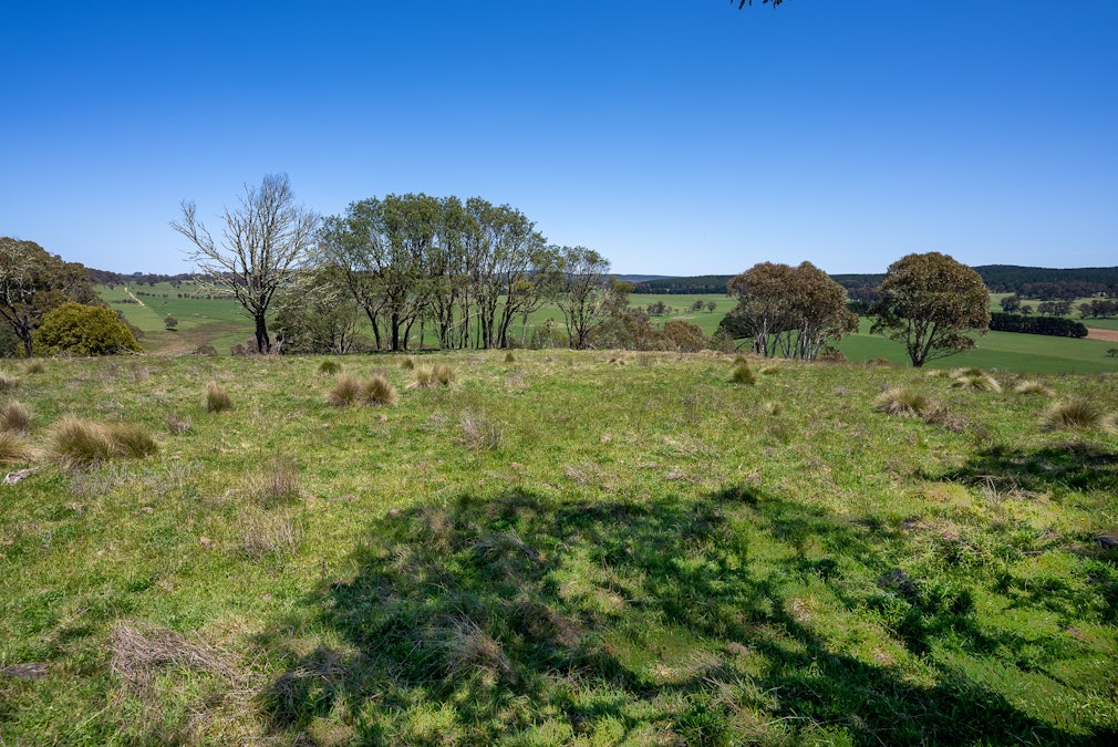 72 Millers Lane, Chatham Valley, NSW, 2787 - Image 9