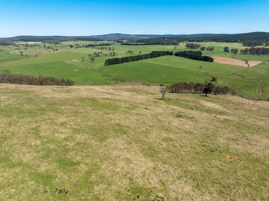 72 Millers Lane, Chatham Valley, NSW, 2787 - Image 13