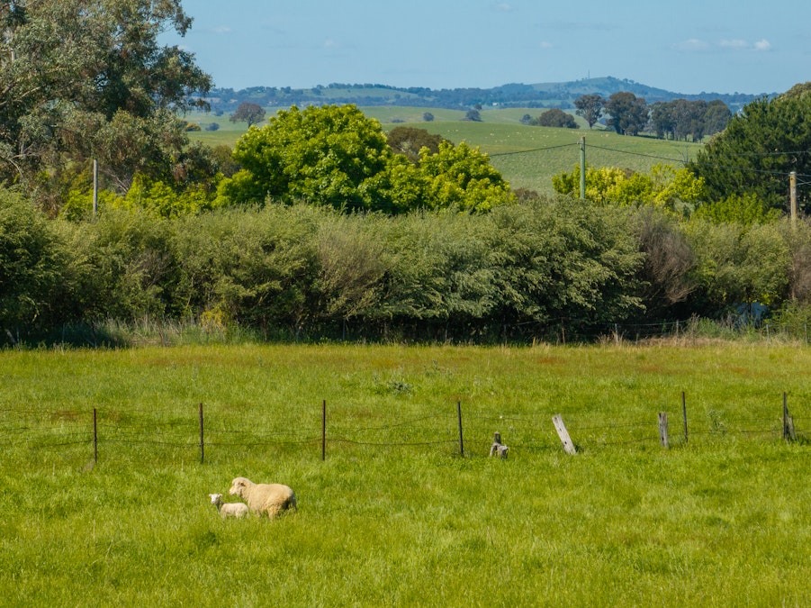 6 Bathurst Street, Lyndhurst, NSW, 2797 - Image 7