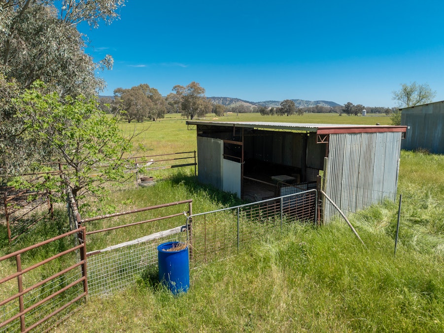 'Wharree' 5097 Olympic Hwy, Koorawatha, NSW, 2807 - Image 16