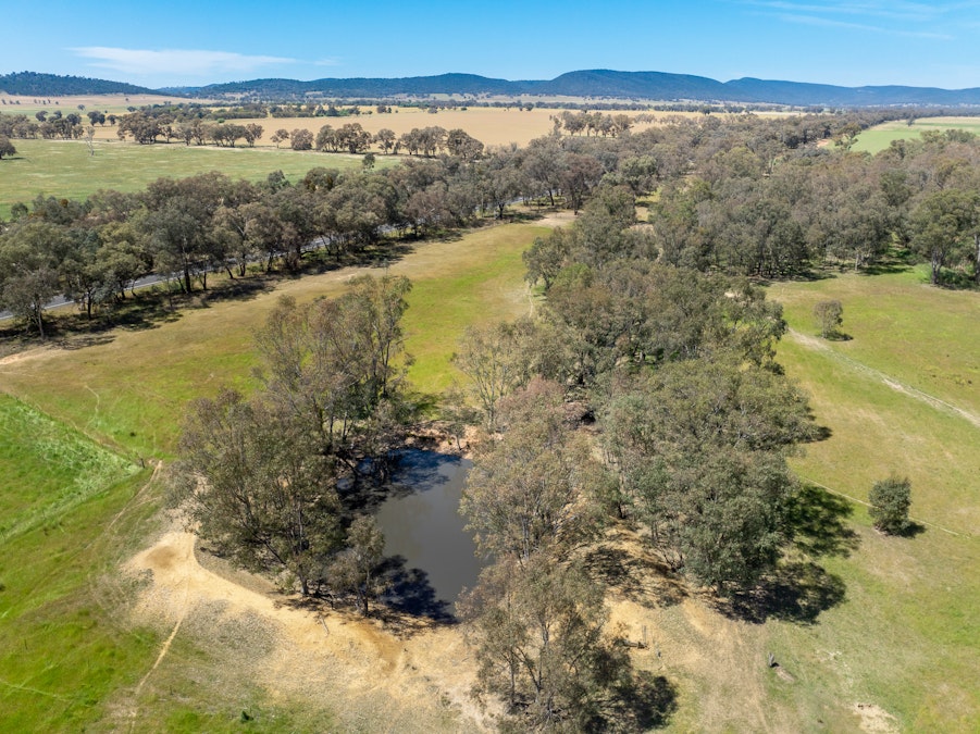 'Wharree' 5097 Olympic Hwy, Koorawatha, NSW, 2807 - Image 23