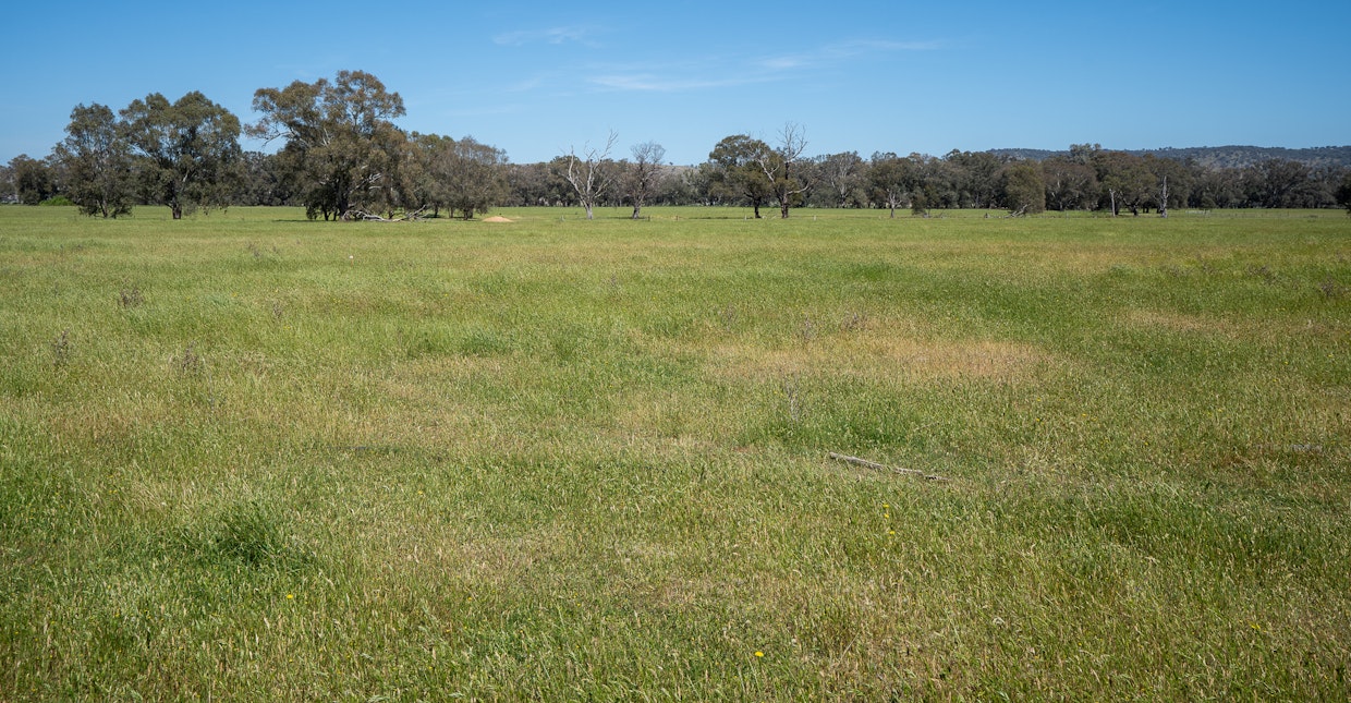 'Wharree' 5097 Olympic Hwy, Koorawatha, NSW, 2807 - Image 26