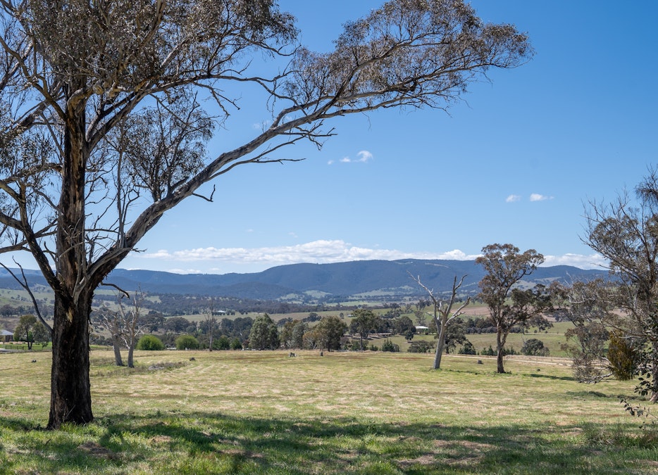 1703 Mutton Falls Road, O'connell, NSW, 2795 - Image 9