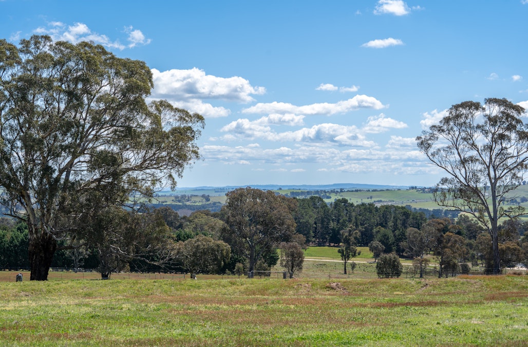 1703 Mutton Falls Road, O'connell, NSW, 2795 - Image 11