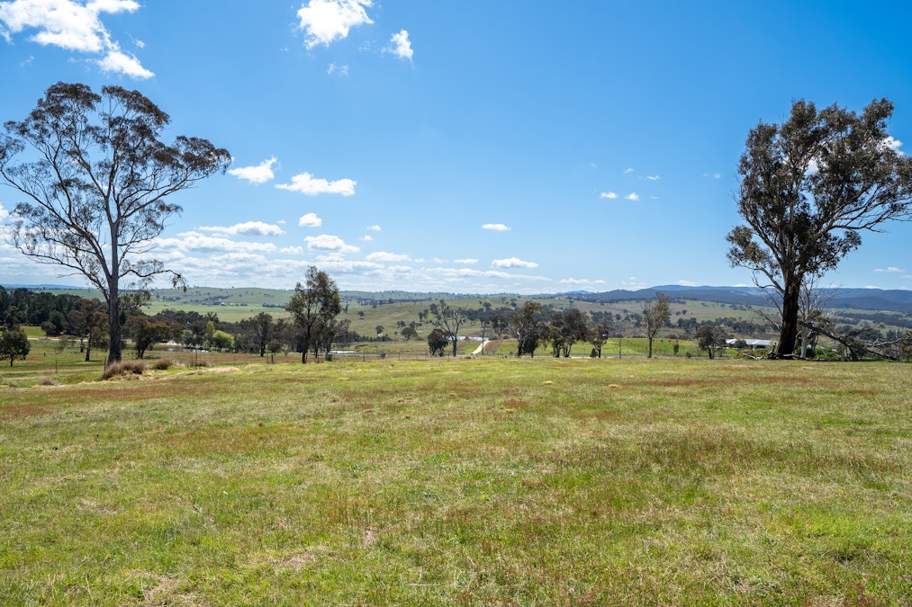 1703 Mutton Falls Road, O'connell, NSW, 2795 - Image 12