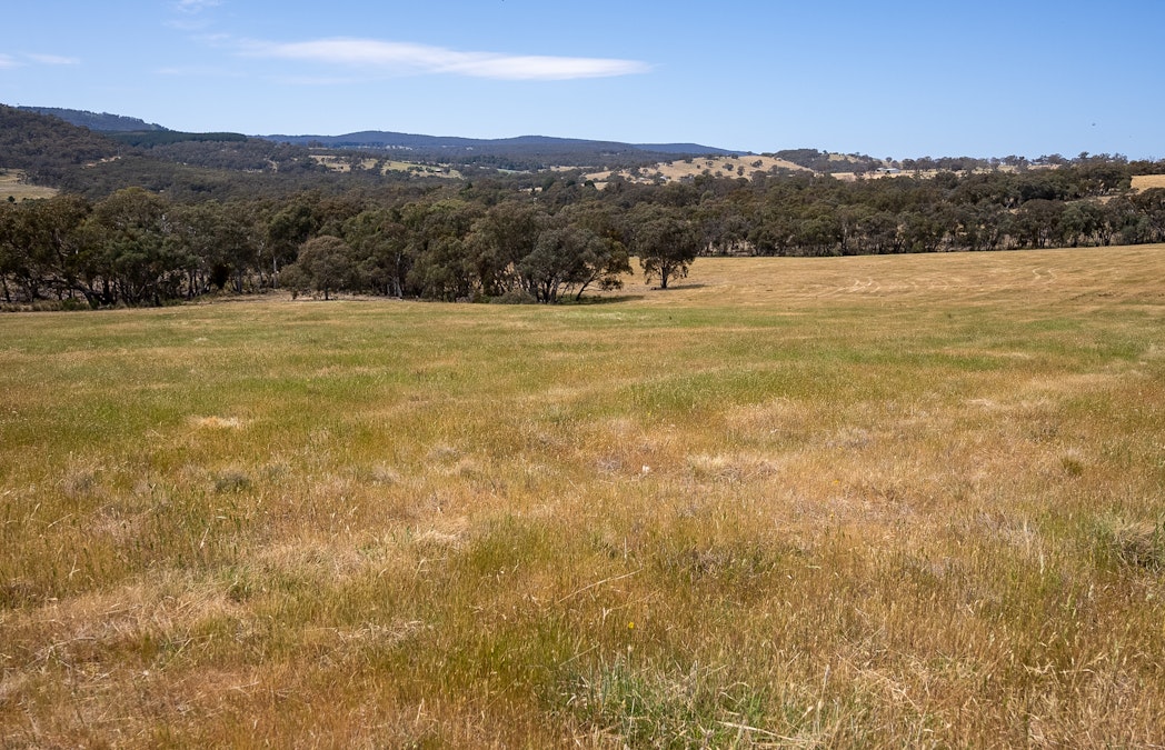 4311 Great Western Highway, Bathurst, NSW, 2795 - Image 10