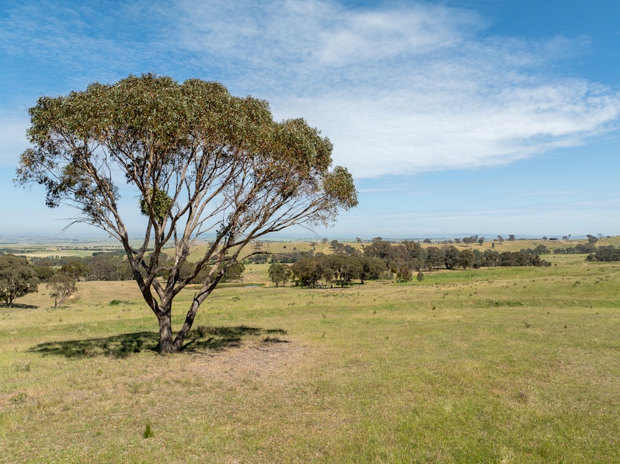 4311 Great Western Highway, Bathurst, NSW, 2795 - Image 14