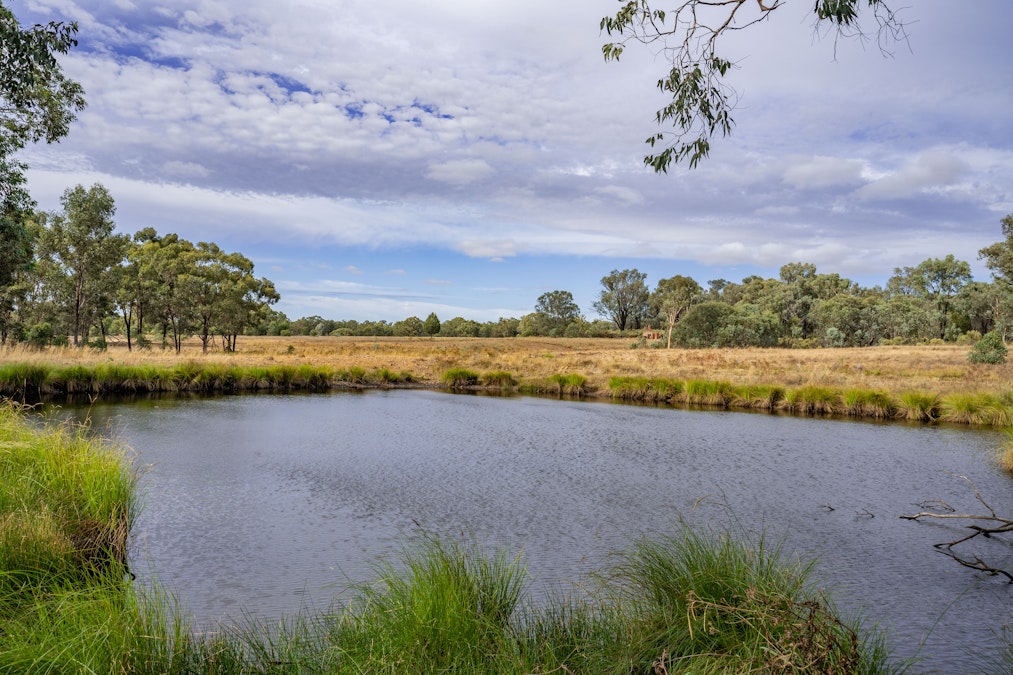 264 Conimbla Road, Cowra, NSW, 2794 - Image 34