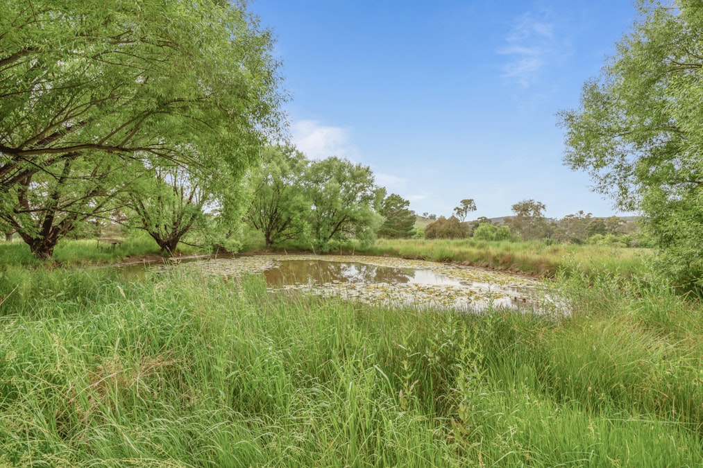 8 Hay Street, Lyndhurst, NSW, 2797 - Image 15