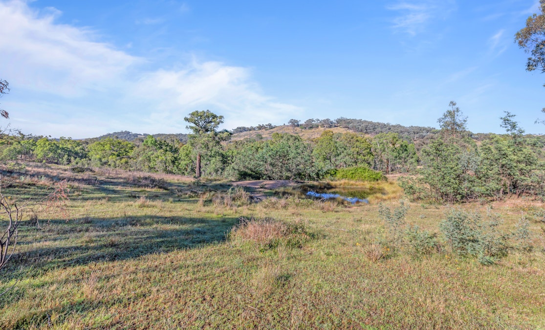 Lot 2/272 Curragh Road, Trunkey Creek, NSW, 2795 - Image 11