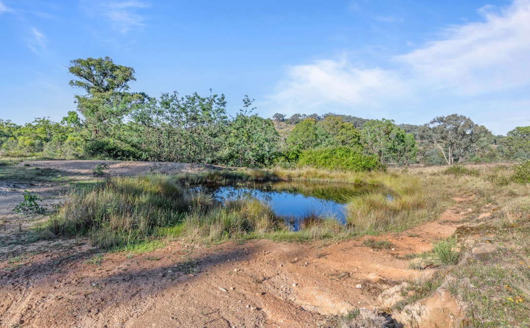 Lot 2/272 Curragh Road, Trunkey Creek, NSW, 2795 - Image 12