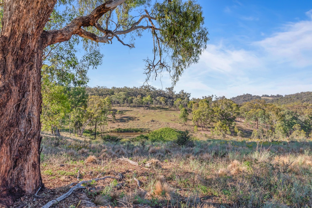 Lot 2/272 Curragh Road, Trunkey Creek, NSW, 2795 - Image 5