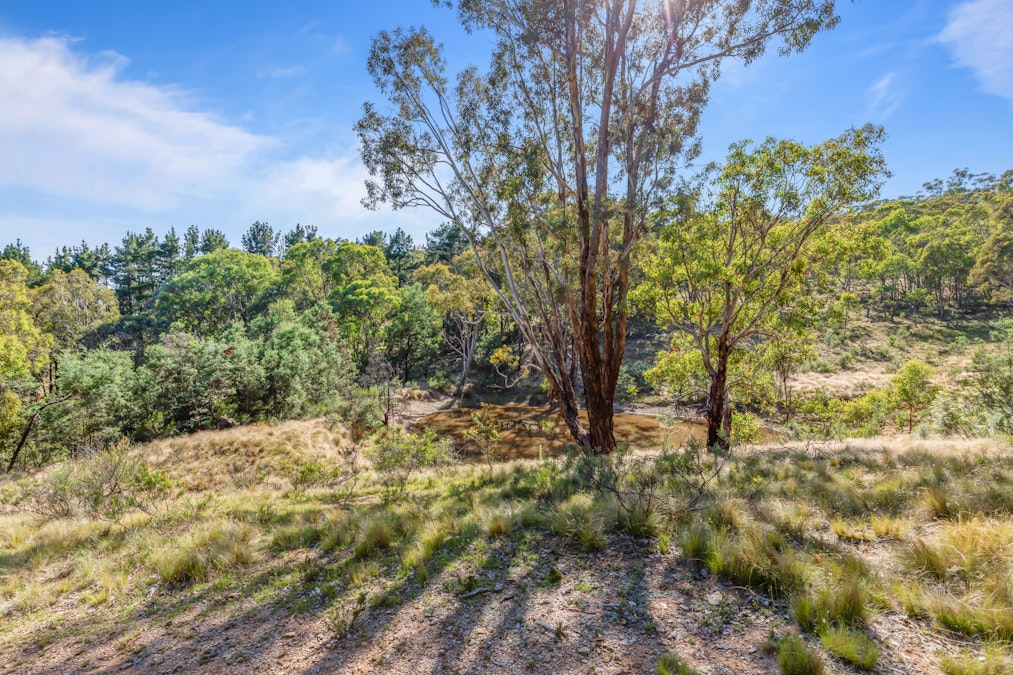 Lot 2/272 Curragh Road, Trunkey Creek, NSW, 2795 - Image 9