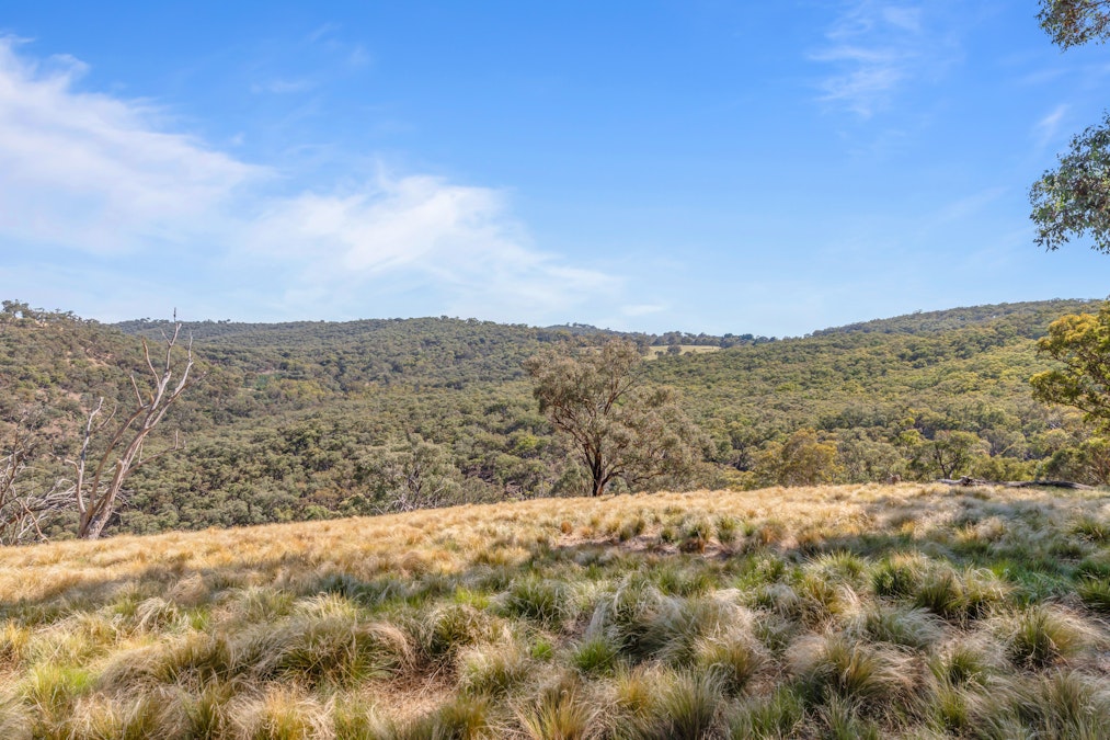 Lot 2/272 Curragh Road, Trunkey Creek, NSW, 2795 - Image 10