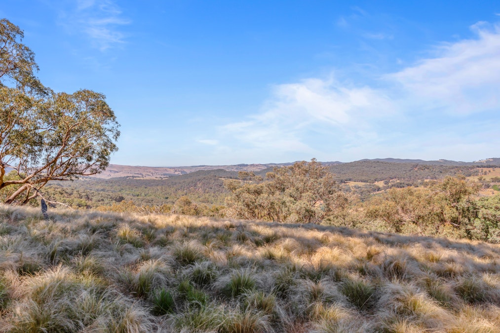 Lot 2/272 Curragh Road, Trunkey Creek, NSW, 2795 - Image 15