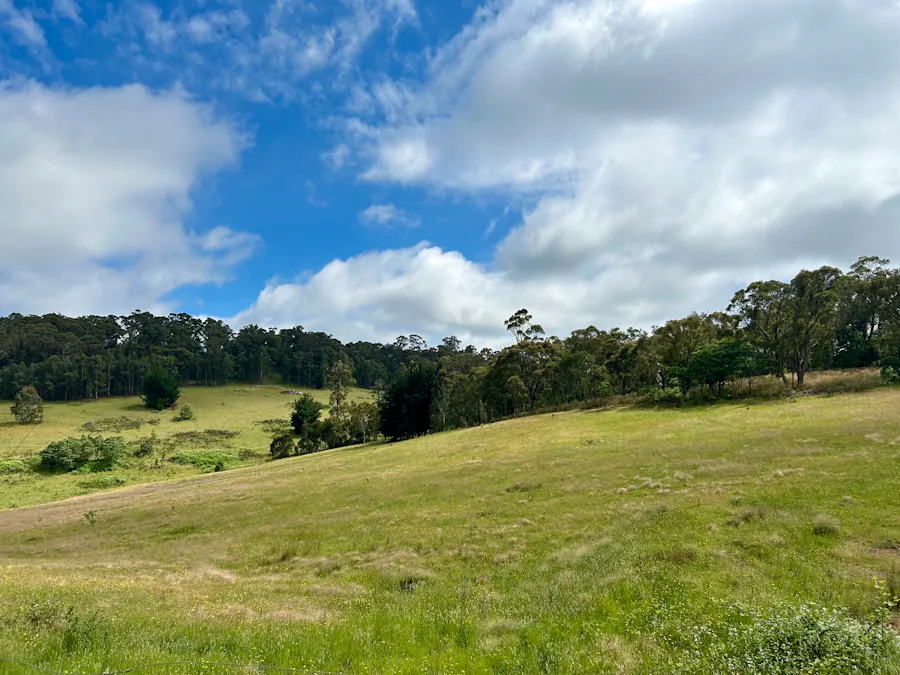 48 Whiteley Road, Oberon, NSW, 2787 - Image 7