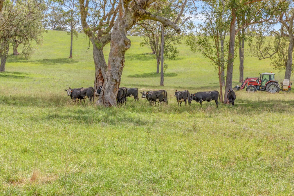 Lot 52 Glen Chee Road, Kanimbla, NSW, 2790 - Image 19