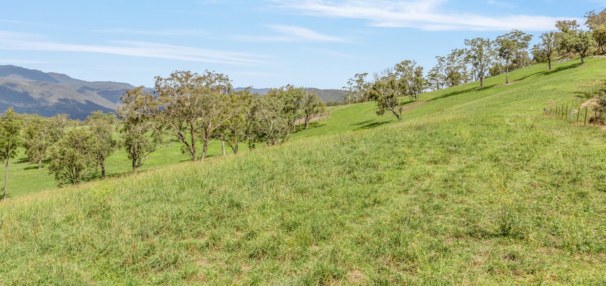 Lot 52 Glen Chee Road, Kanimbla, NSW, 2790 - Image 21