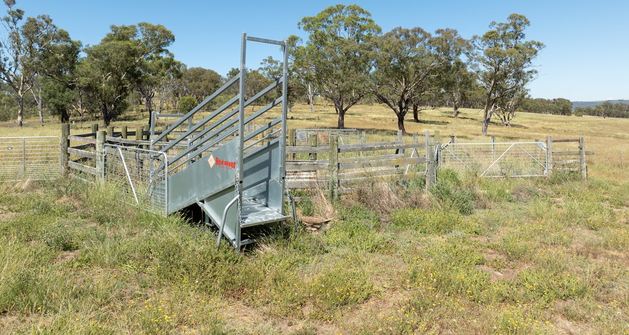 1583 Mid Western Highway, Evans Plains, NSW, 2795 - Image 13