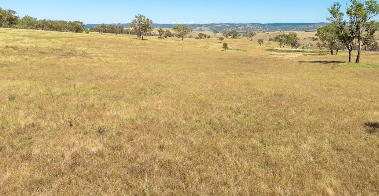 1583 Mid Western Highway, Evans Plains, NSW, 2795 - Image 7