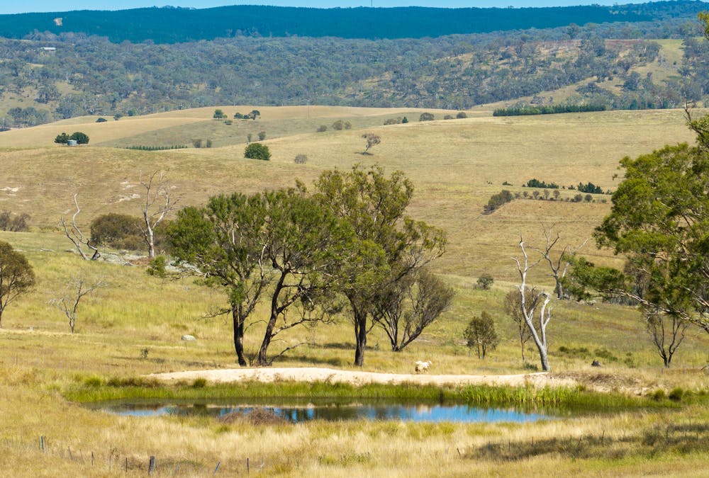 1583 Mid Western Highway, Evans Plains, NSW, 2795 - Image 8
