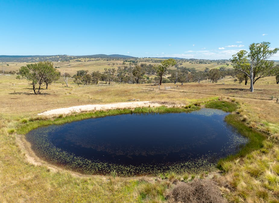 1583 Mid Western Highway, Evans Plains, NSW, 2795 - Image 6