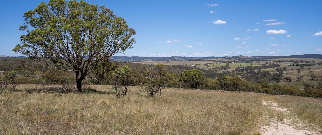 1583 Mid Western Highway, Evans Plains, NSW, 2795 - Image 19