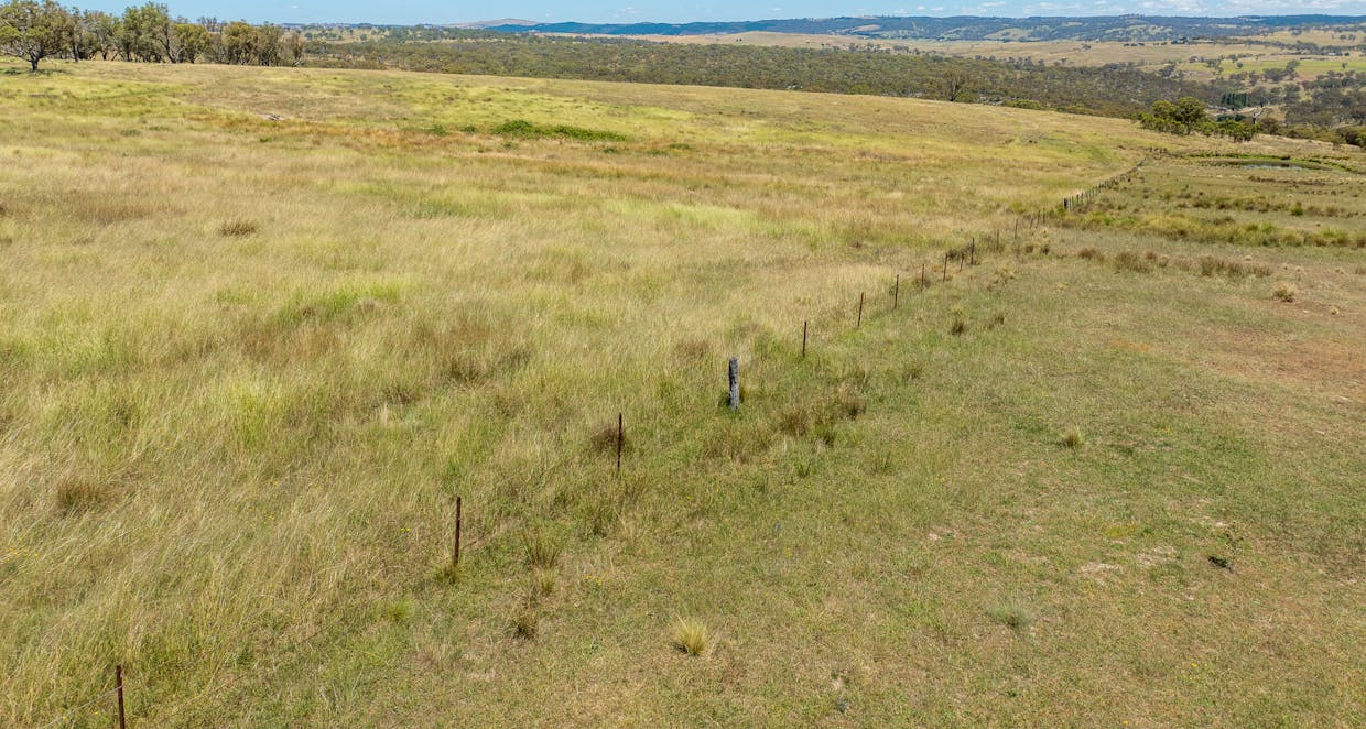 1583 Mid Western Highway, Evans Plains, NSW, 2795 - Image 21