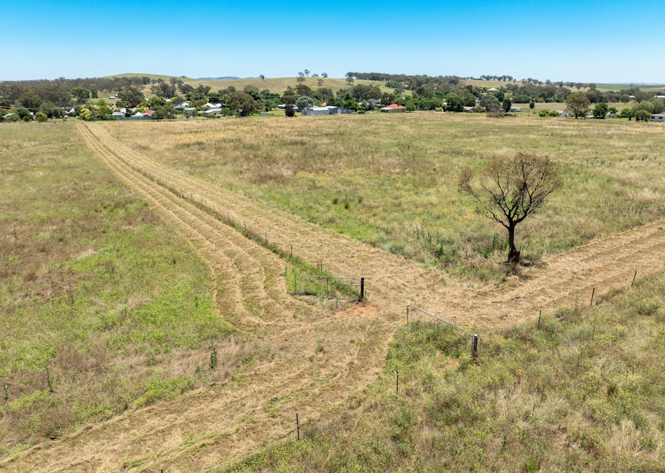 1325 Eurimbla Road, Cumnock, NSW, 2867 - Image 5