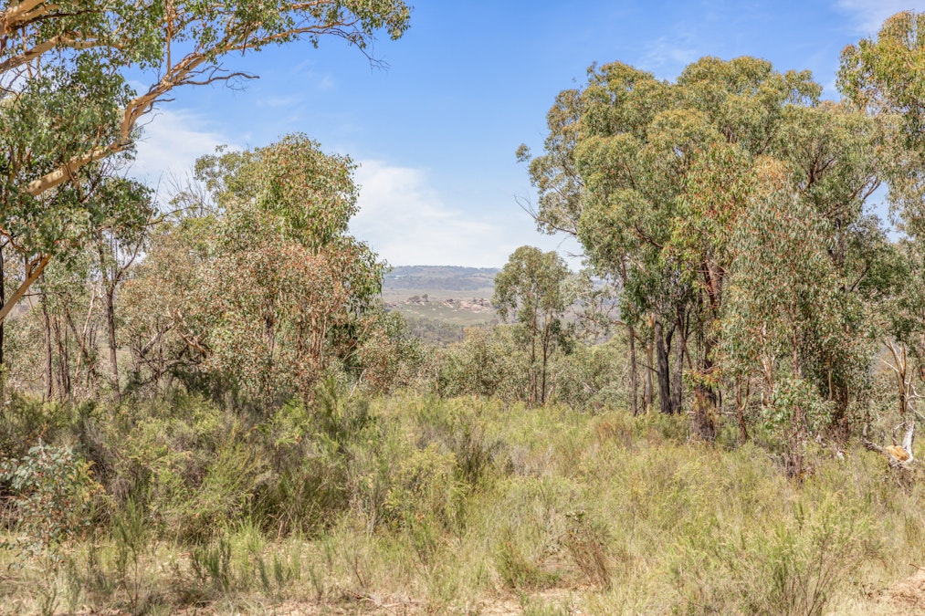 1243 Freemantle Road, Watton, NSW, 2795 - Image 13