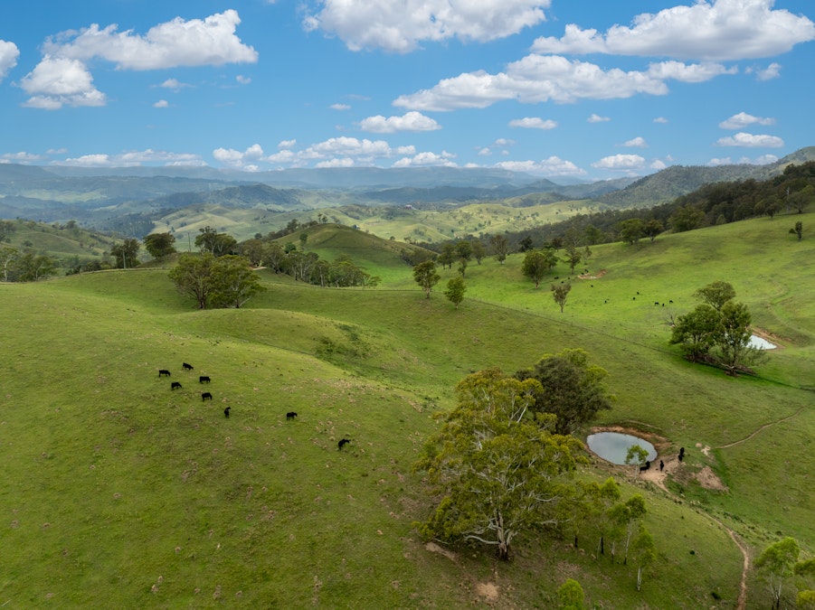 900 Marsden Swamp Road, Ganbenang, NSW, 2790 - Image 9