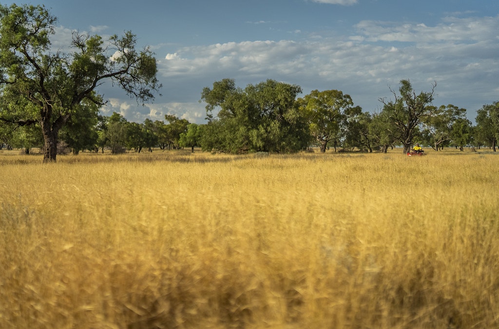 720 Warrabah Road, Quambone, NSW, 2831 - Image 7