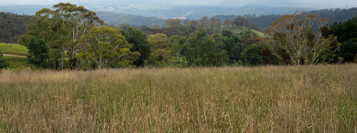 Lot 2, 909 Jenolan Caves Road, Good Forest, NSW, 2790 - Image 9