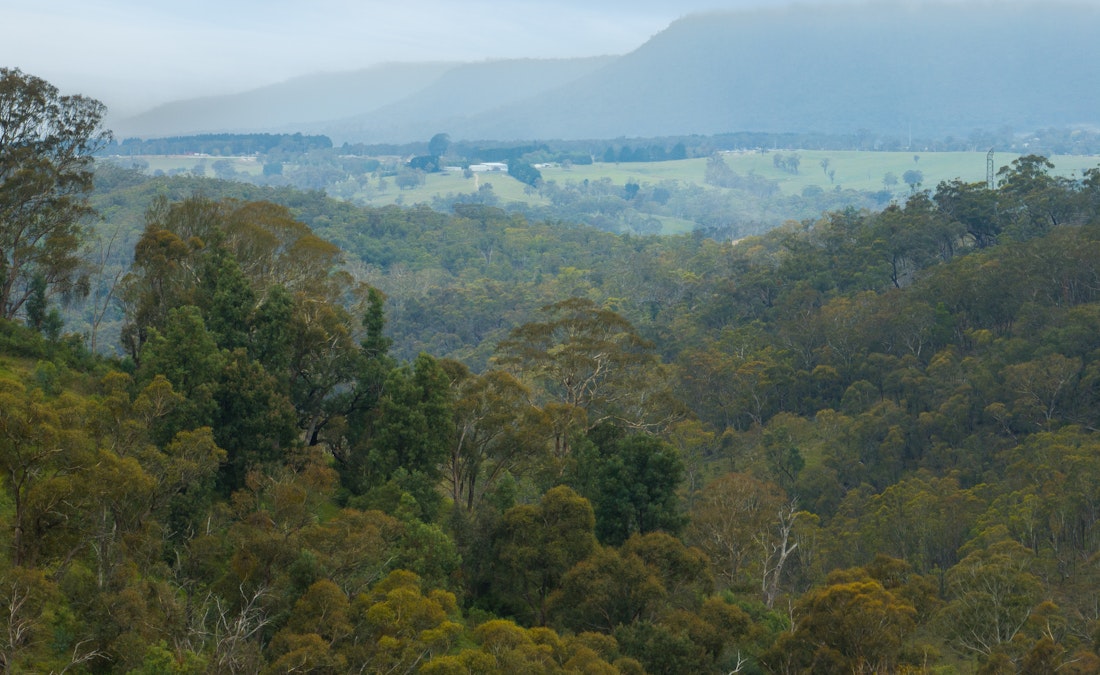 Lot 2, 909 Jenolan Caves Road, Good Forest, NSW, 2790 - Image 10